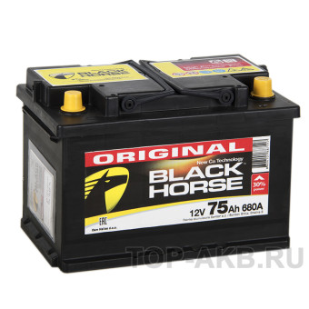 Black Horse 75R 680A 278x175x190
