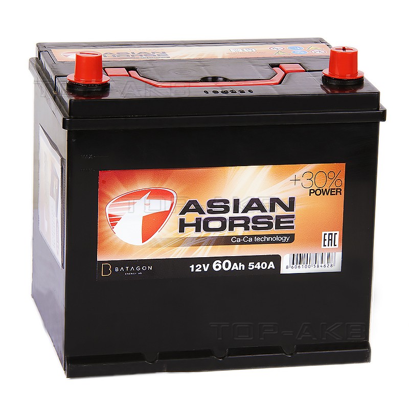 Asian Horse 60R 540A 232x173x225