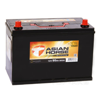 Asian Horse 95L 800A 306x175x225