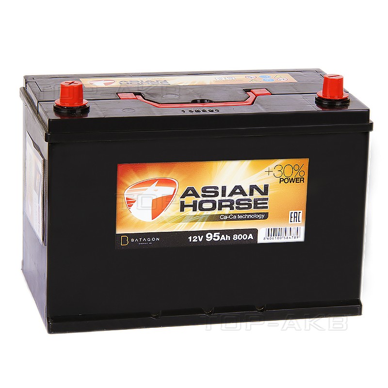 Asian Horse 95L 800A 306x175x225