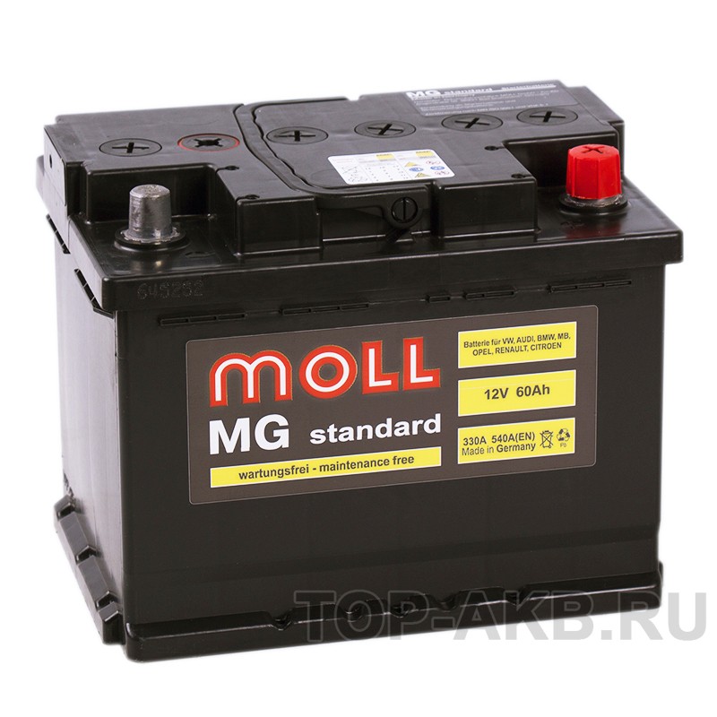 Moll MG Standard 60R 540A 242x175x190 Moll MG Standard 60R 540A 242x175x190