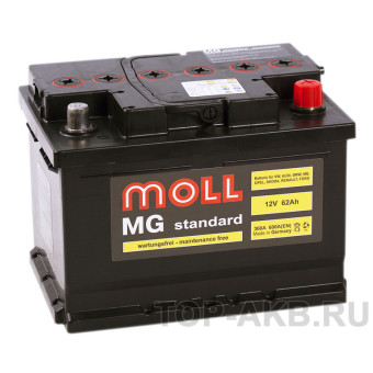 Moll MG Standard 62 SR 600A 242x175x175