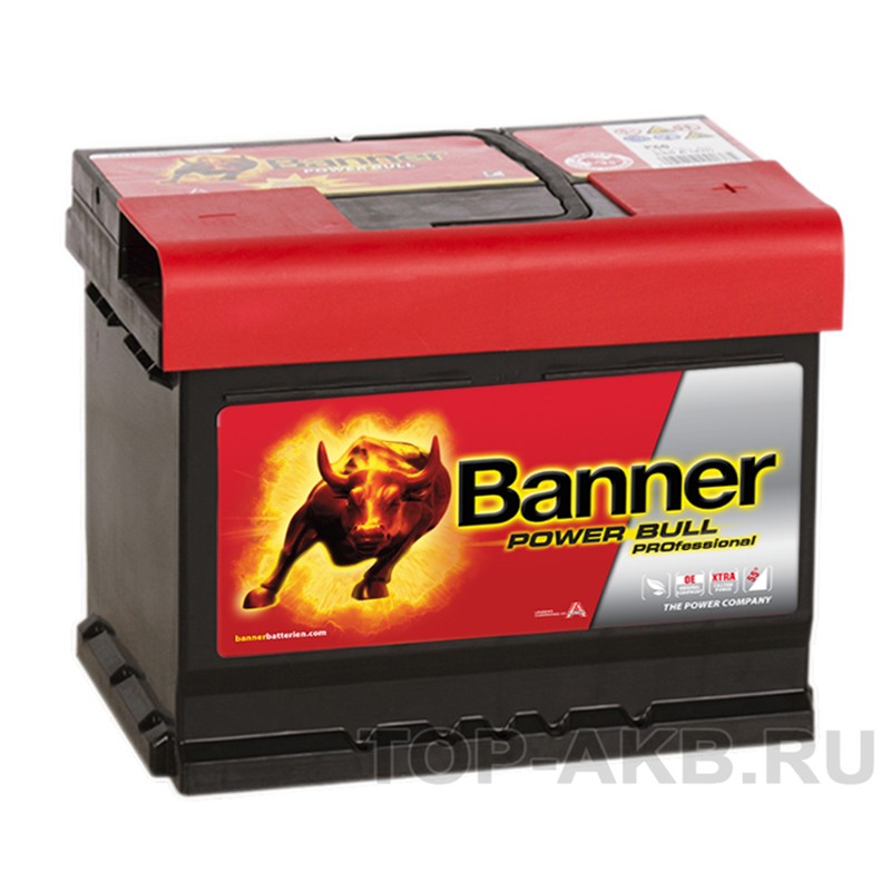 BANNER Power Bull Pro (50 42) 50R низкий 400A 207x175x175 BANNER Power Bull Pro (50 42) 50R низкий 400A 207x175x175
