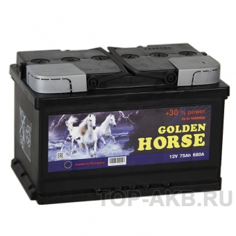 Аккумулятор автомобильный Golden Horse 75R низкий 680А 278x175x175