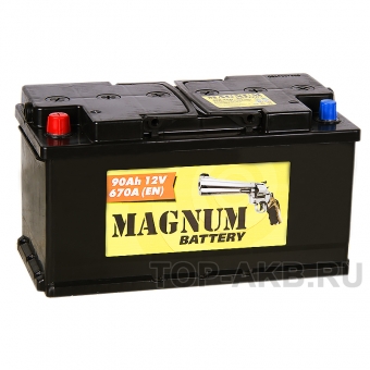 Magnum 90L 670A 353x175x190