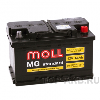 Аккумулятор автомобильный Moll MG Standard 66R 650A 278x175x175